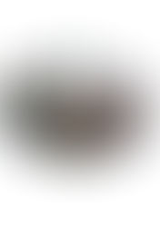 Encerramento do Seminário Sobre o Batismo no Espírito Santo - Tema: A Comunidade Cristã