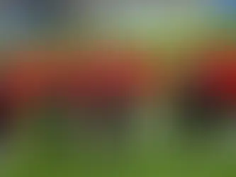 A Milli Futbol Takımı, Kritik Uluslararası Turnuva Öncesi Hazırlıklara Başladı