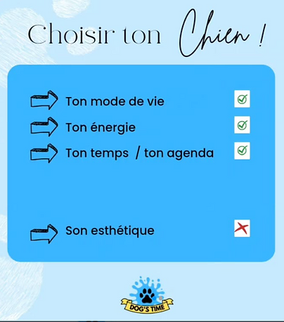 Bien choisir ton chien