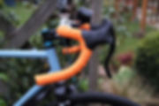 image2.jpeg