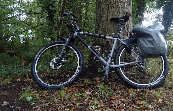 bicycle leaning against a tree