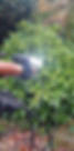 test review ravemen fr300 daytime runing light