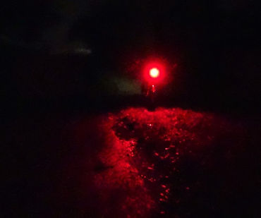 bike bicycle bike rear red light