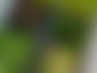 Microgreens vs. Kresse: Was ist der Unterschied?