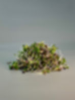 Miniaturbild: Daikon Kresse Mix