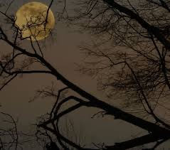 When Dreams Begin to Form Patterns