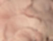 GettyImages-1390397976_b_edited.jpg