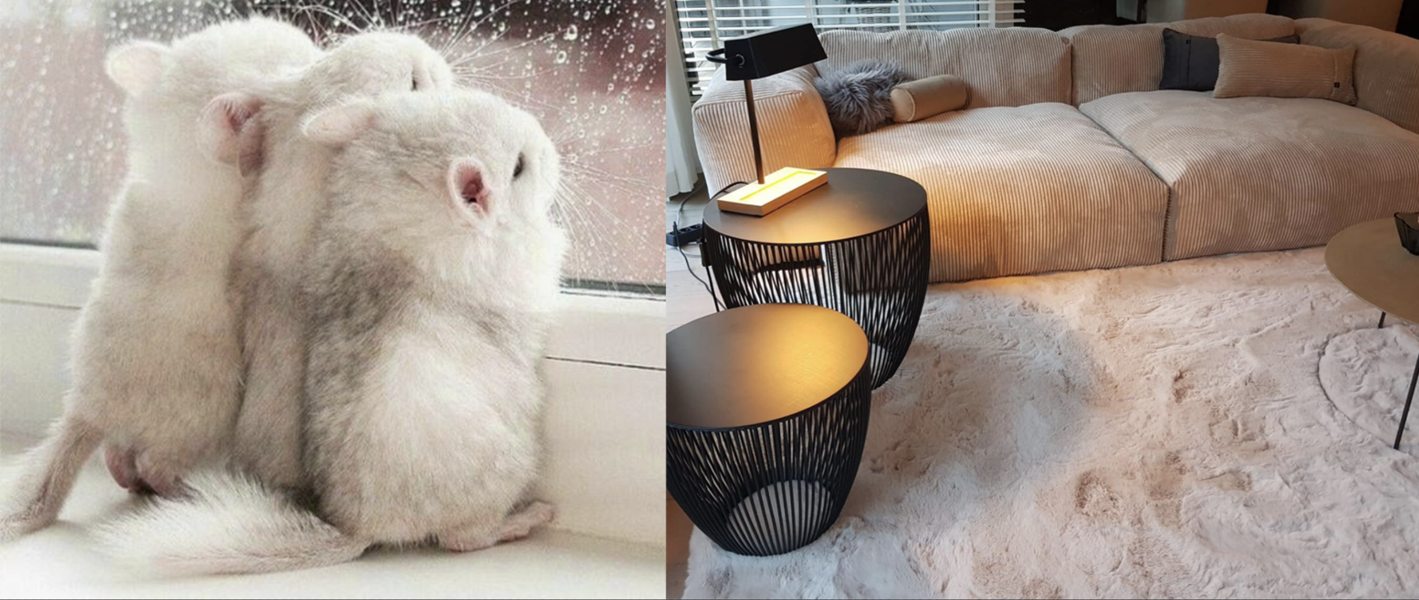 Tapis fluffy en fausse fourrure, photo 1