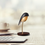 Miniature : Daqi Bird - lampe de table