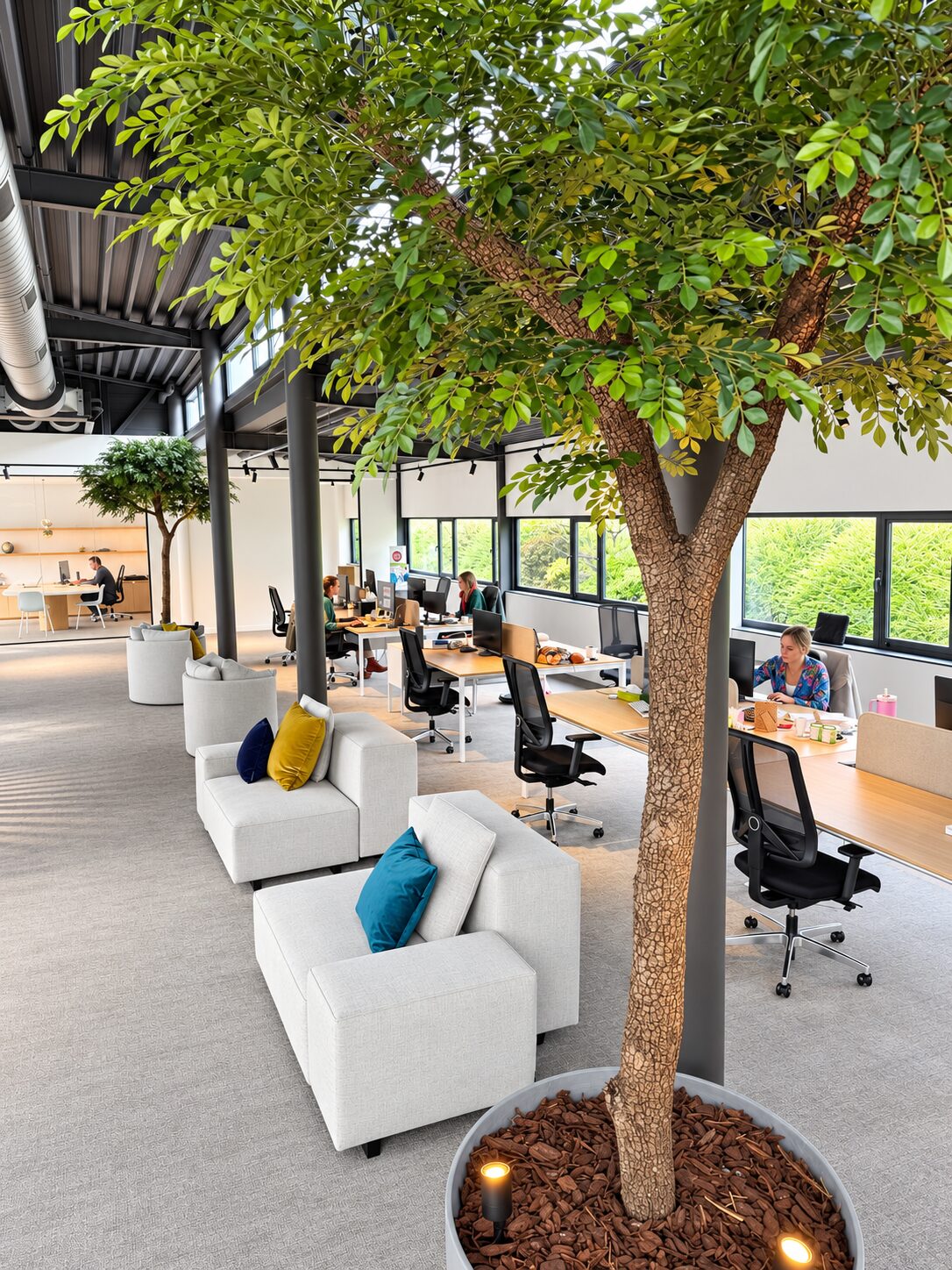 L’open space, un arbre et les canapés blancs