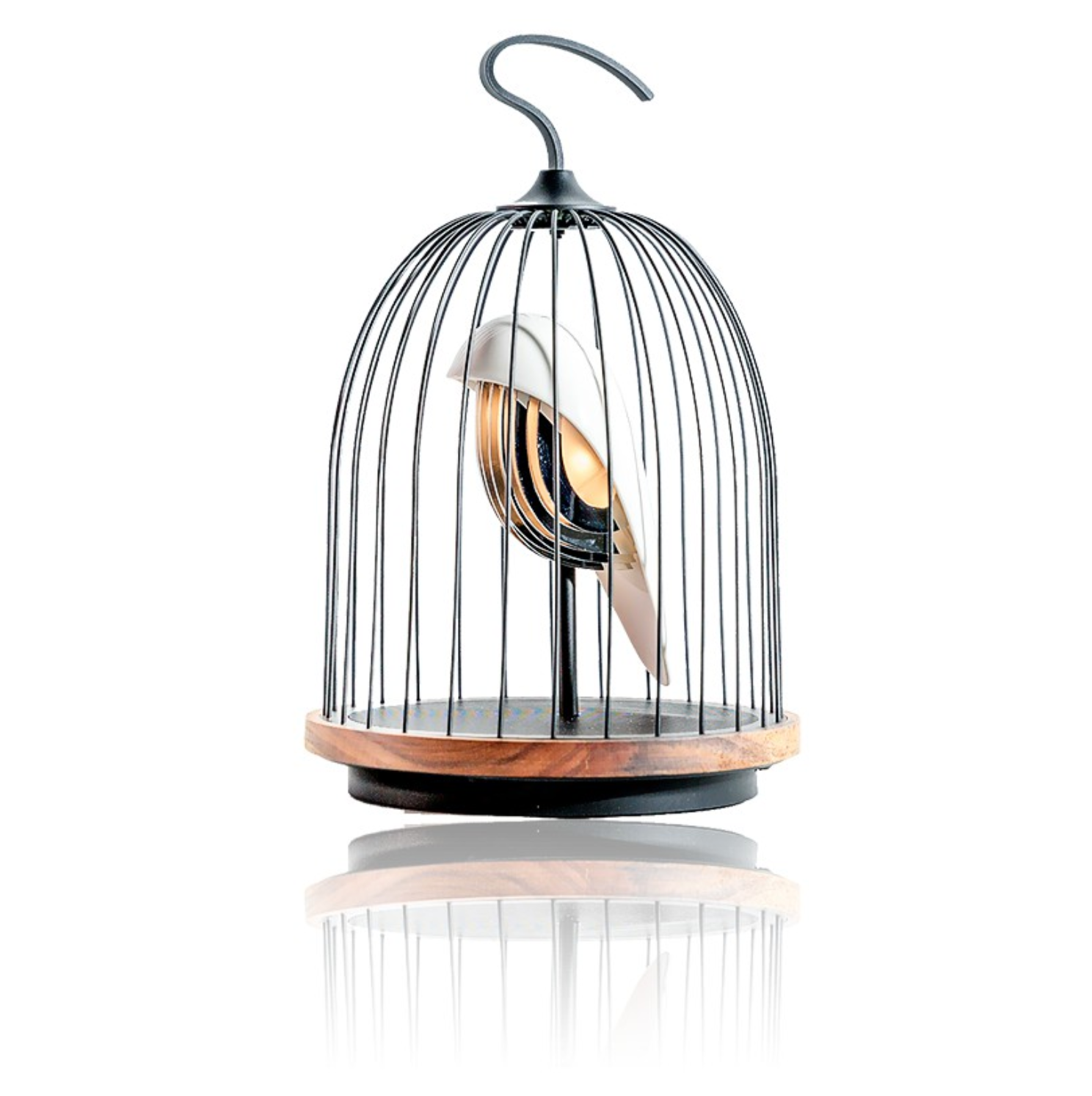 White Hwamei- DAQI CONCEPT - JINGOO HAUT-PARLEUR