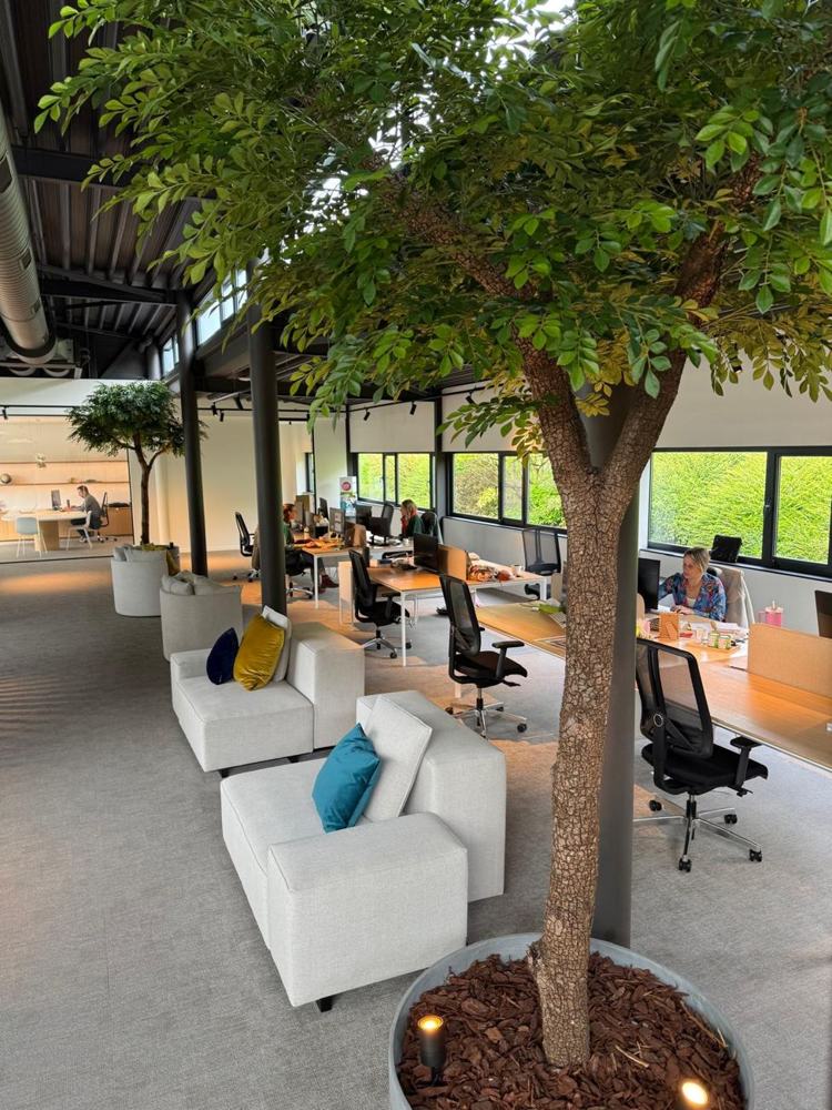 Atypic : l'open space, un arbre et des canapés blancs