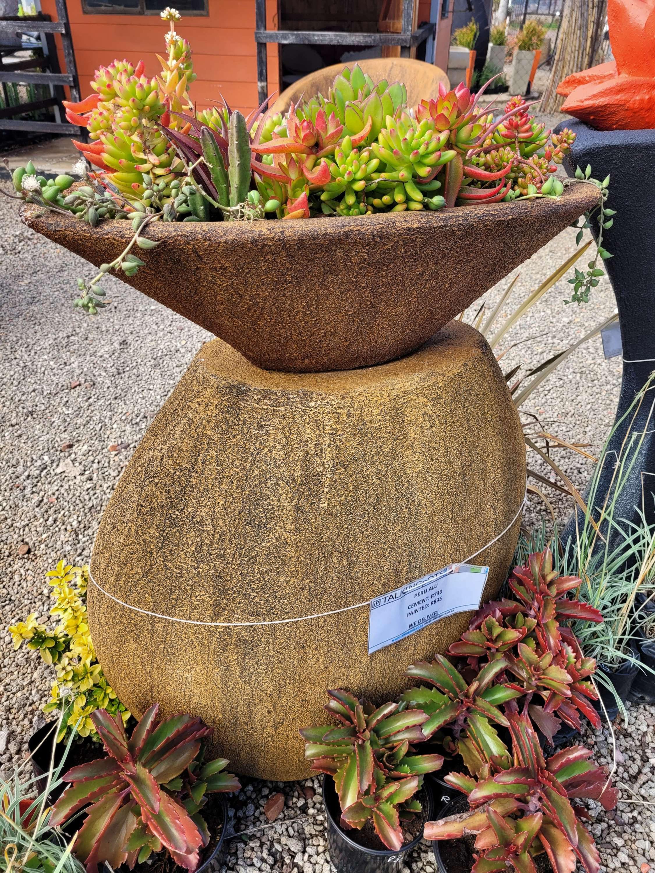 Succulent planter pots.  Budget pots.  Vetplantpotte.  Vetplantfees.  Calitzdorp. Klein Karoo. Tuinateljee