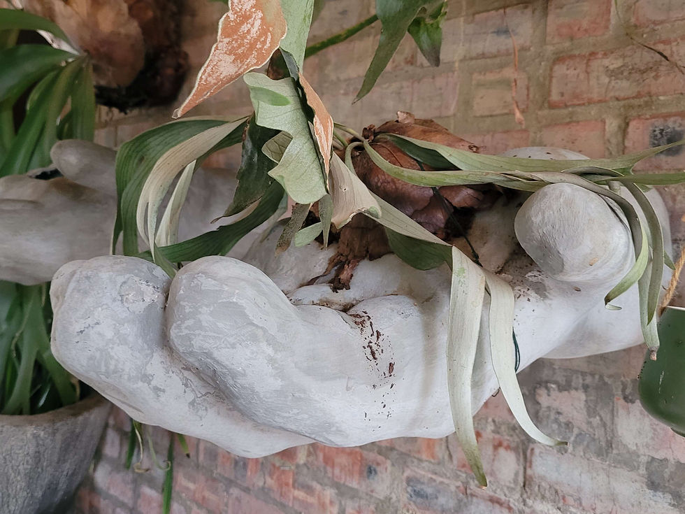 Thumbnail: Hand Planter Pot