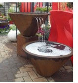 Fennel Copper Fountain