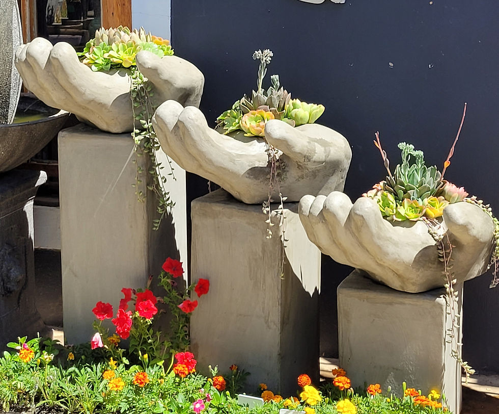 Hand Planter Pots.  Pedestal Planter Pots. Cement pots.