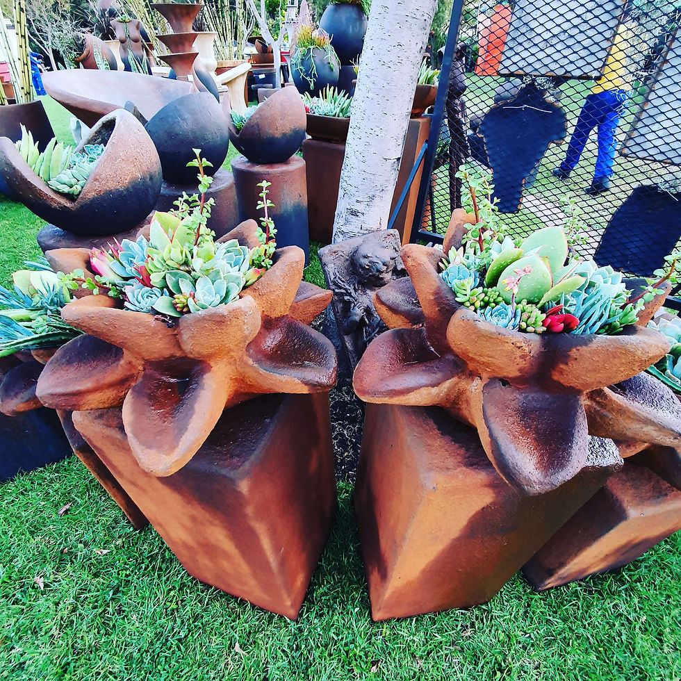 Lotus Flower Succulent Planter.  Planter pots.  Garden Decor. 