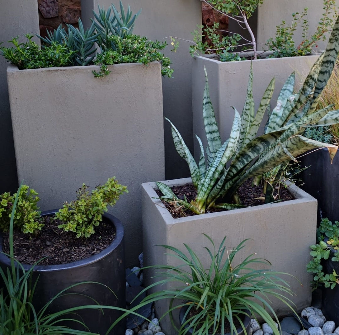 Rectangular Planter
