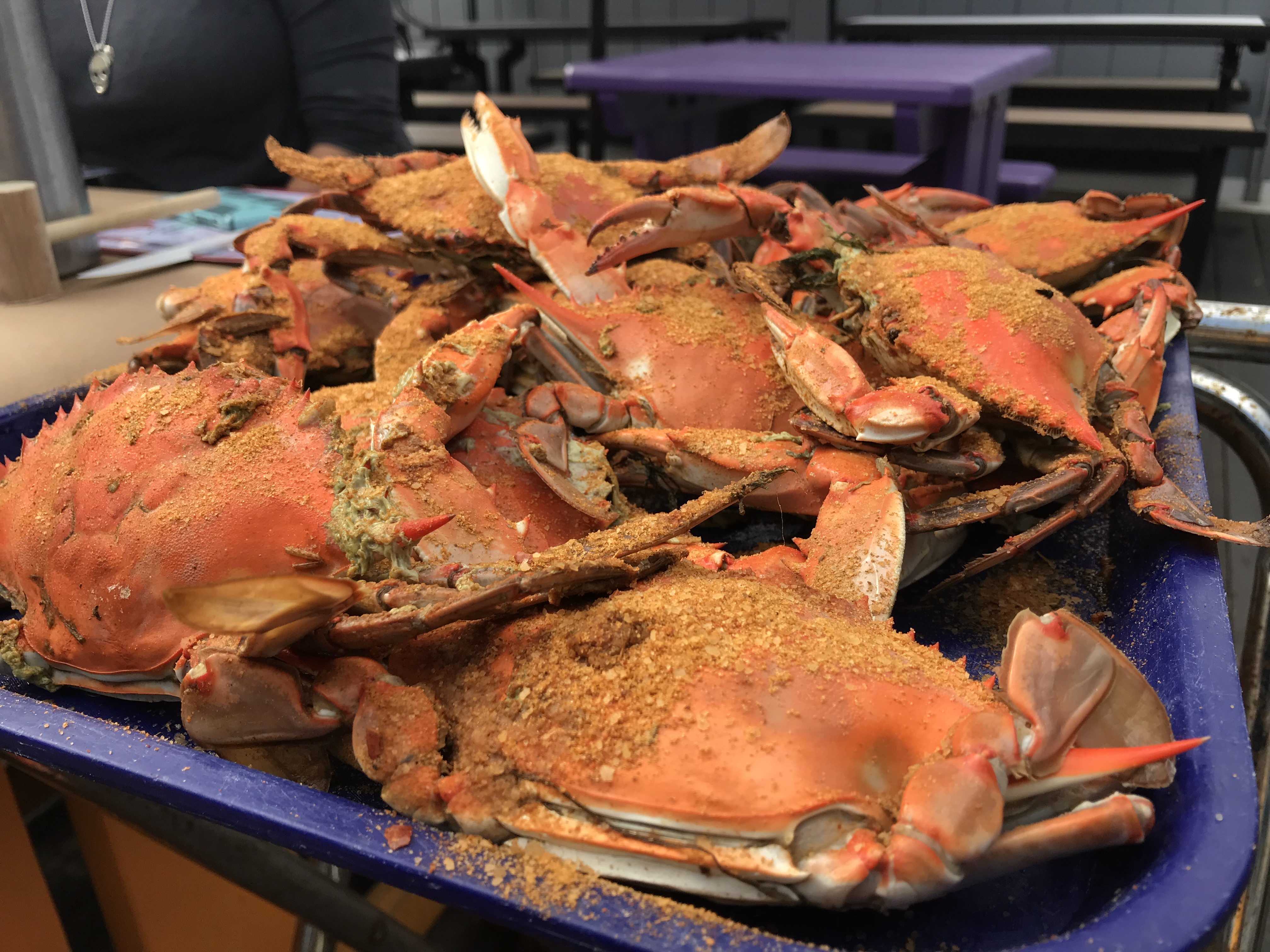 Fresh Local Seafood Gainesville, VA Blue Ridge Seafood Restaurant