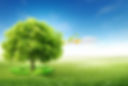 header-background.jpg