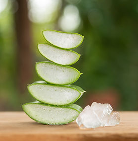 aloe-vera-product-display-wood-counter-background-aloe-vera-is-tropical-green-plants-slice