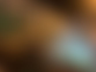 Romeiros da Paróquia São José do Patrocínio acolhem a Medianeira da Graça