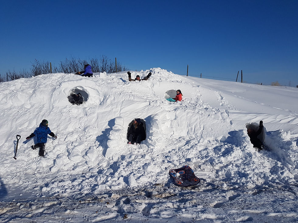 Fresh Air Learning POP-Up-Daycamps