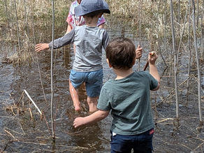kids walking through a marsh