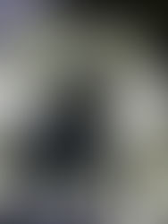 Lens Technology