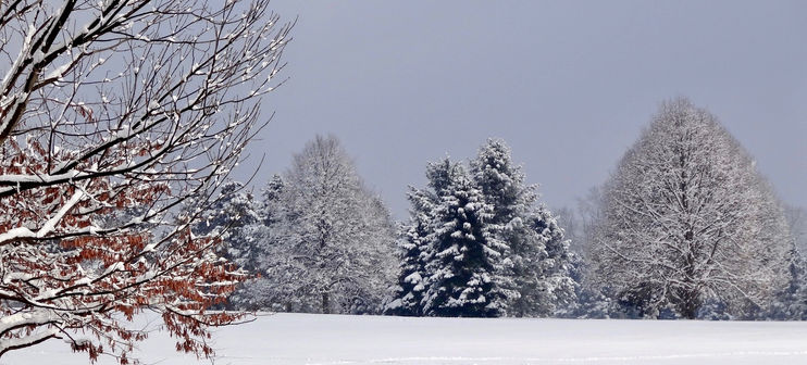 Two White Courses