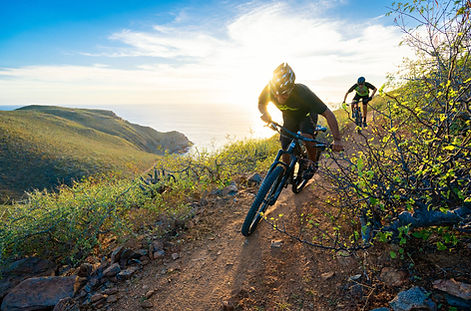 Sierra de la Laguna mountain biking