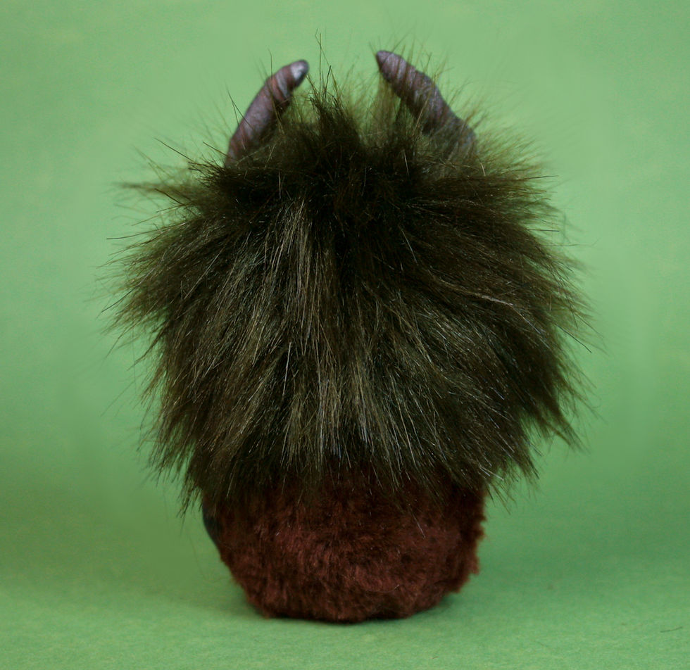 Miniature : Baby Whisper Terre