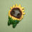 Miniature : Magnet Potz - Sunflower