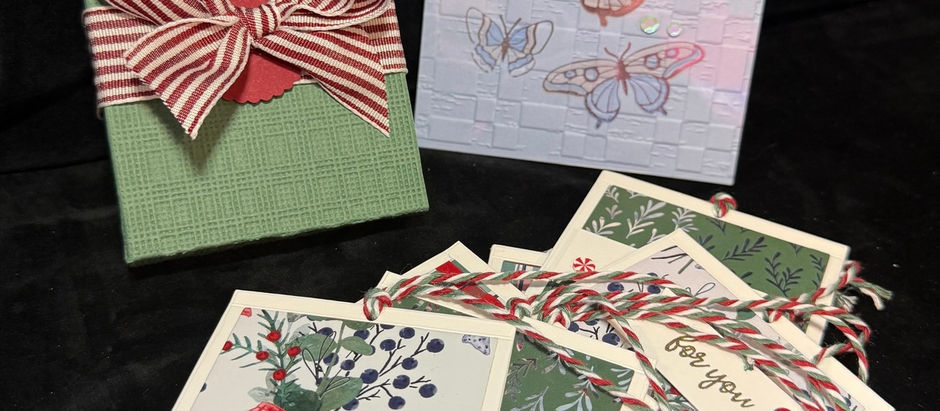 6/9/26 Using embossing folders to enhance your projects - part 1