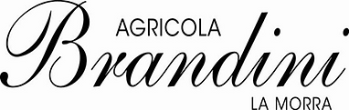 Brandini_edited.png