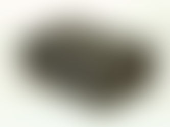 Reading on the go, Medieval Style!