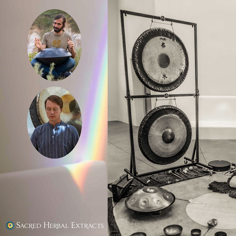 Sacred Sound Immersion