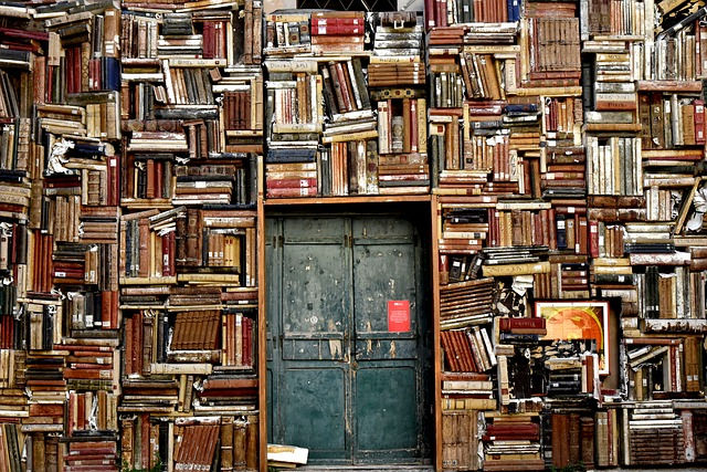Lingosynamia Bücher