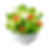 Large Garden Salad