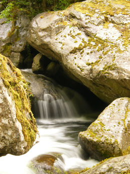 Water cascading through rocks. Nature photography showcasing a flowing stream and moss.