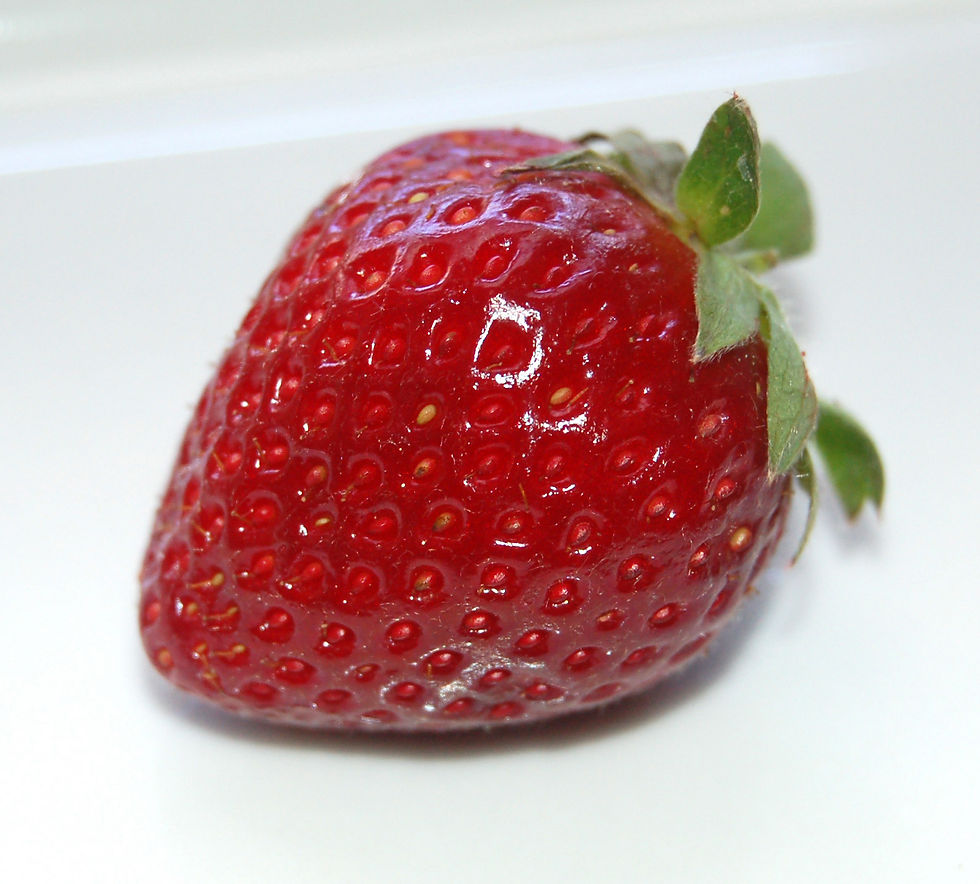 Fragole
