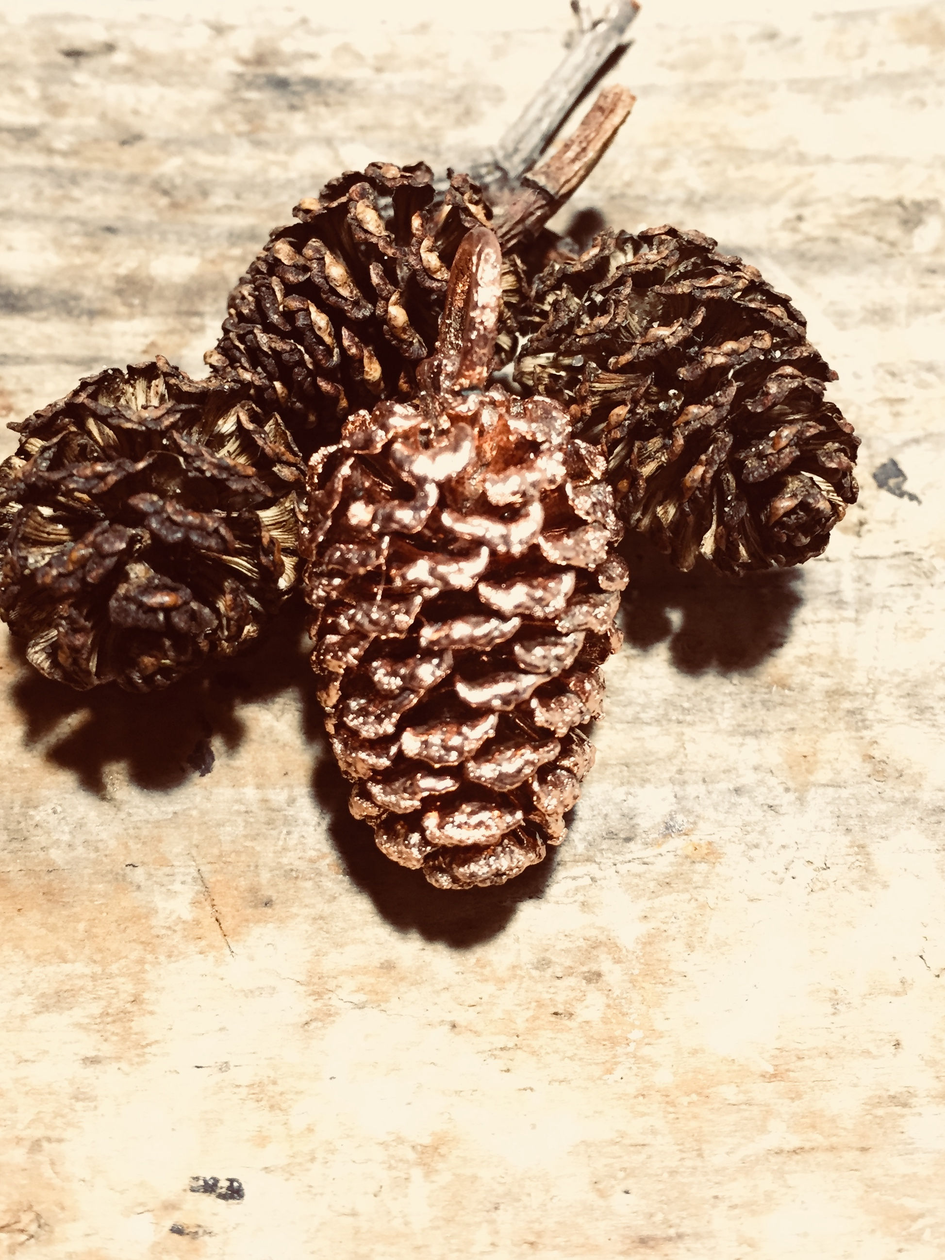 Copper Pine Cone