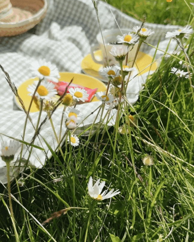 sommar sepia.gif