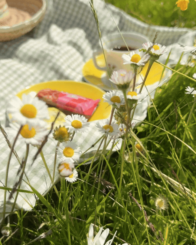 Sommar Fibr.gif
