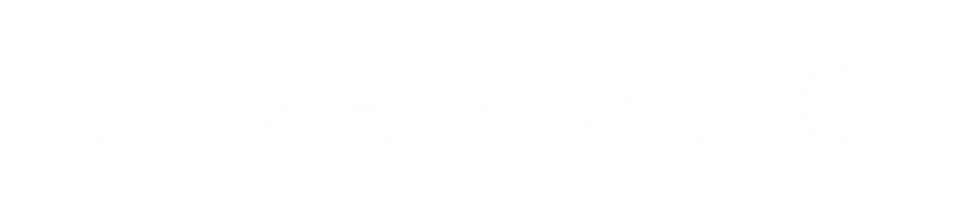 MSEFAUTO logo white narrow.png
