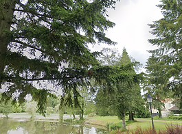 Etang du pavillon (google earth).png