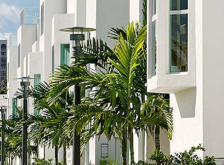 3 Bamboo Flats Ft Lauderdale FL.jpg