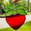 Thumbnail: Sweet Strawberry