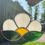 Thumbnail: Daisy - Half