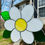 Thumbnail: Large Daisy - White
